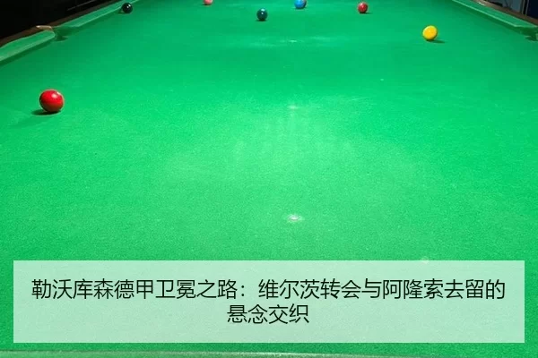 lei-wo-ku-sen-de-jia-wei-mian-zhi-lu-wei-er-ci-zhuan-hui-yu-a-long-suo-qu-liu-de-xuan-nian-jiao-zhi-2-613.jpg