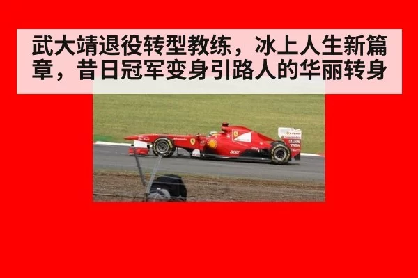 武大靖退役转型教练，冰上人生新篇章，昔日冠军变身引路人的华丽转身