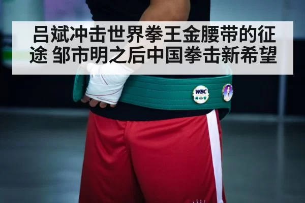 吕斌冲击世界拳王金腰带的征途 邹市明之后中国拳击新希望
